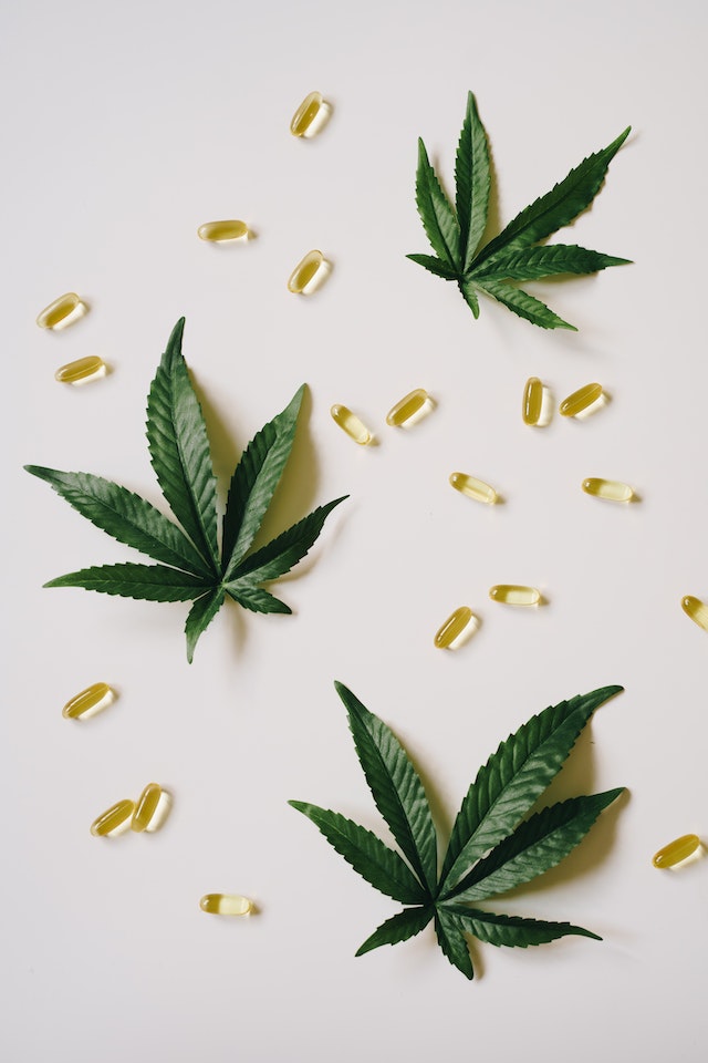 plante et gélules cbd